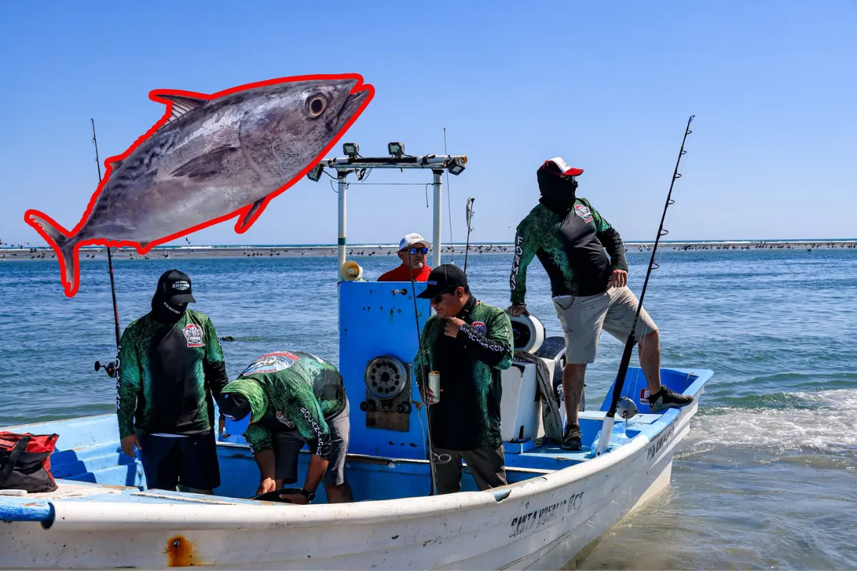 Este viernes 16 y sábado 27 de noviembre se realizará un torneo de pesca en Puerto San Carlos. Foto Ilustrativa: Fonmar | Canva.