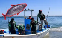 Este fin de semana es el torneo de pesca Pacific Tuna 2025 en Puerto San Carlos
