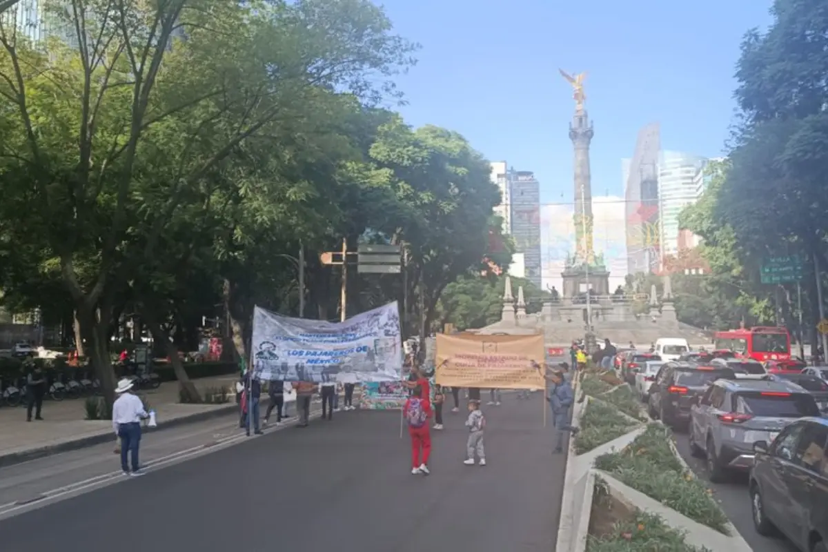 Manifestantes en Pro del Bienestar Animal en Paseo de la Reforma de CDMX.     Foto: X (@SCPPyBG)