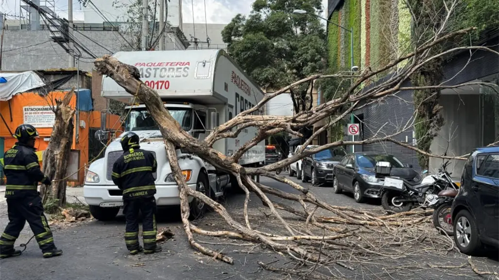 Caída de árbol sobre camión en Colonia Actipan moviliza a bomberos en Benito Juárez