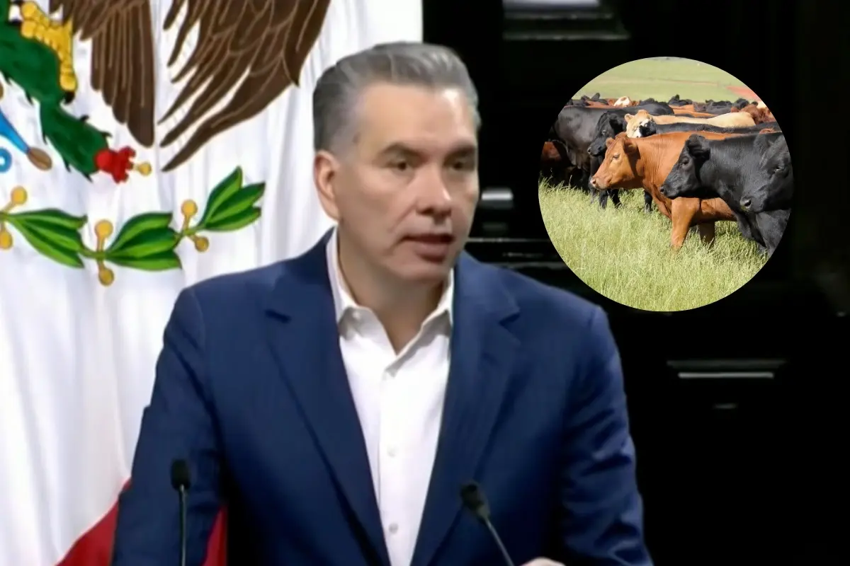 El senador Waldo Fernández. Foto: Composición Canva