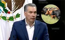 Waldo Fernández pide acción inmediata contra el gusano barrenador en Nuevo León