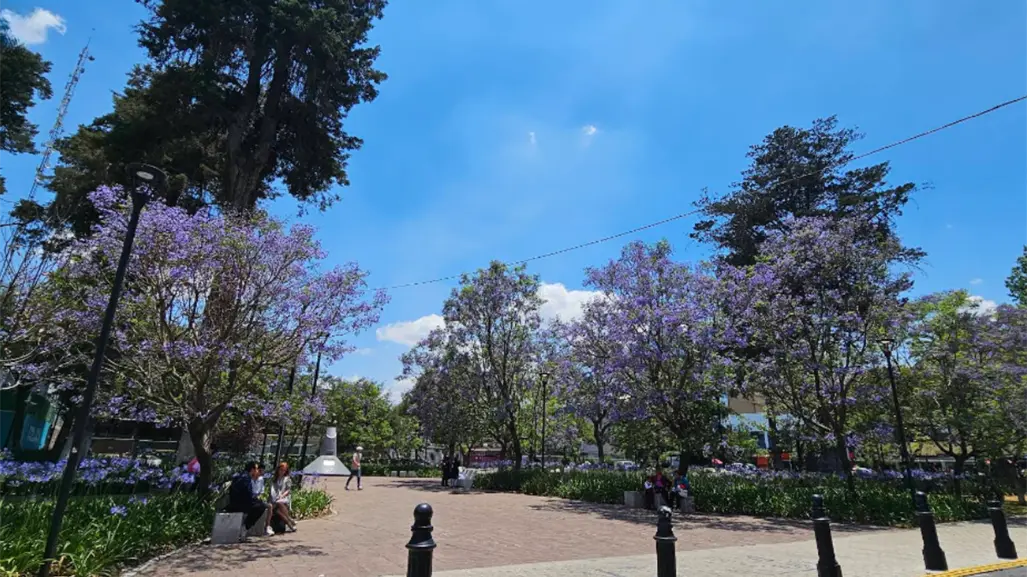 Jardín Zaragoza del Centro de Toluca reabre al público con nueva imagen tras un mes cerrado