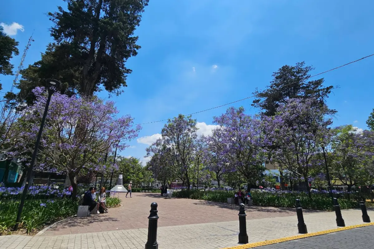 Jardín Zaragoza en Toluca.  Foto: Google Maps (Niñote Rom)
