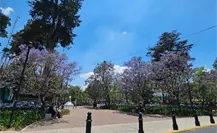 Jardín Zaragoza del Centro de Toluca reabre al público con nueva imagen tras un mes cerrado