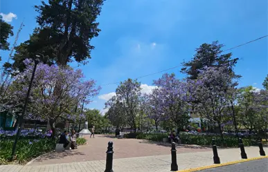 Jardín Zaragoza del Centro de Toluca reabre al público con nueva imagen tras un mes cerrado
