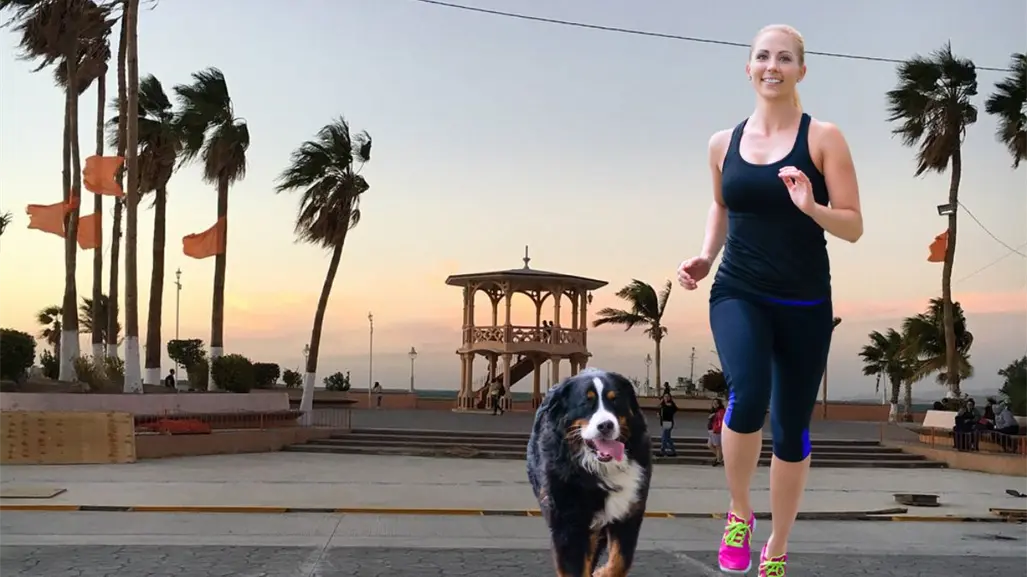 Lleva a tu lomhijo al malecón de La Paz y participa en la carrera Run 4 Paws
