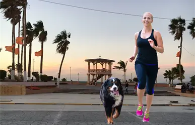 Lleva a tu lomhijo al malecón de La Paz y participa en la carrera Run 4 Paws