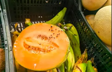 Denuncian exceso de moscas en la fruta y verdura de Bodega Aurrer&aacute; Camino Real