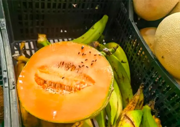 Denuncian exceso de moscas en la fruta y verdura de Bodega Aurrerá Camino Real