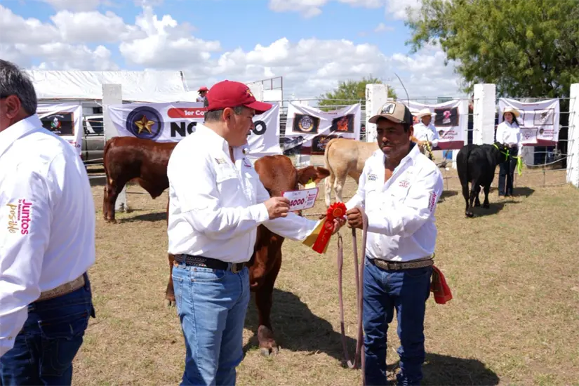 Participaran 18 ejemplares divididos en dos grupos | Foto: Gobierno de Nuevo Laredo