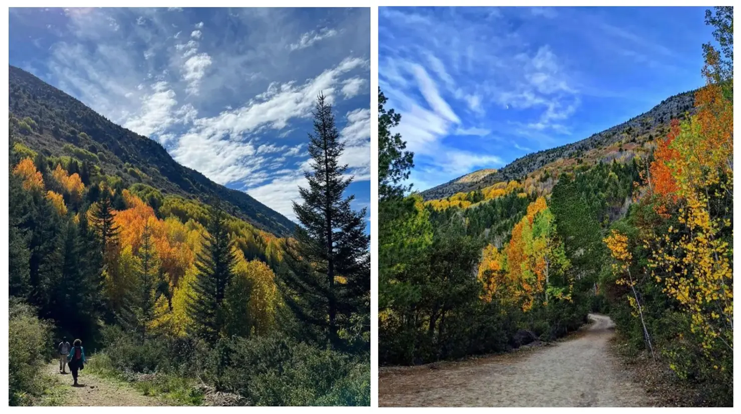Imágenes del otoño en la Sierra de Arteaga. (Fotografías: Food and Pleasure)