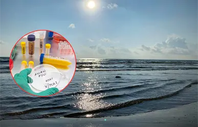 Playa Bagdad sigue abierta, pero piden evitar visitas mientras se investiga caso de gripe aviar