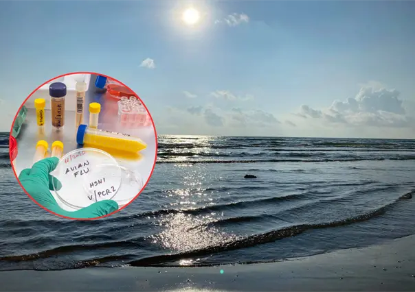 Playa Bagdad sigue abierta, pero piden evitar visitas mientras se investiga caso de gripe aviar