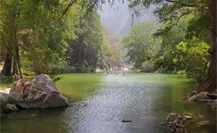 ¿Has escuchado hablar de la Poza Madre, el paraíso escondido en Tamaulipas? ¿Has escuchado hablar de la Poza Madre, el paraíso escondido en Tamaulipas?