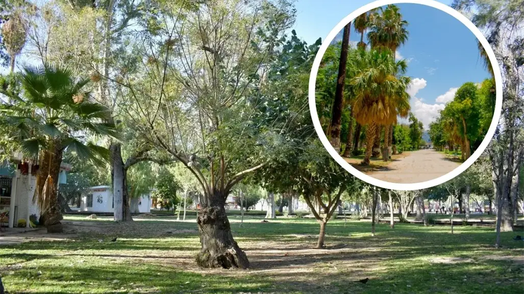 Este parque es uno de los pulmones verdes más antiguos de Torreón, data desde 1930