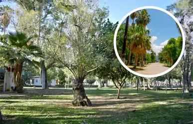 Este parque es uno de los pulmones verdes más antiguos de Torreón, data desde 1930