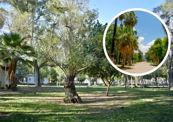 Este parque es uno de los pulmones verdes más antiguos de Torreón, data desde 1930