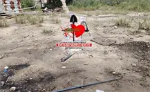 Detectan nuevo campo de exterminio en Reynosa