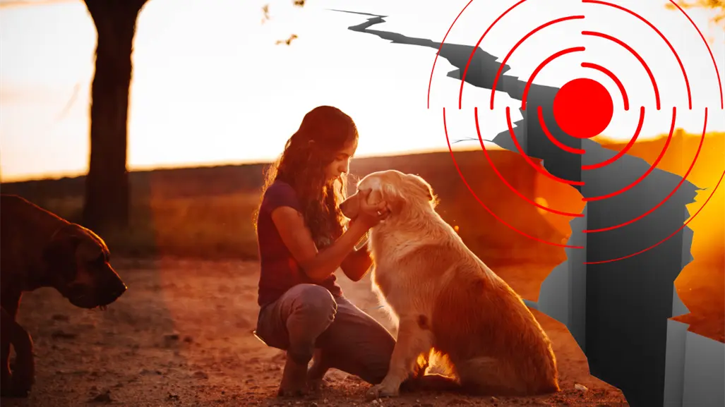 Guía práctica para proteger a tus mascotas durante un sismo de forma segura