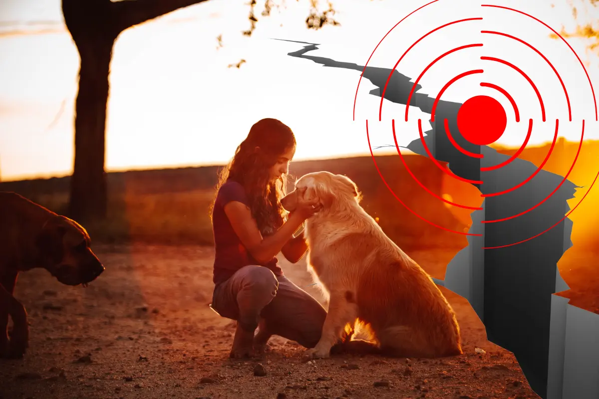 Las mascotas son parte esencial de nuestras vidas, así que es crucial aprender cómo mantenerlas seguras durante un sismo. Foto: Canva