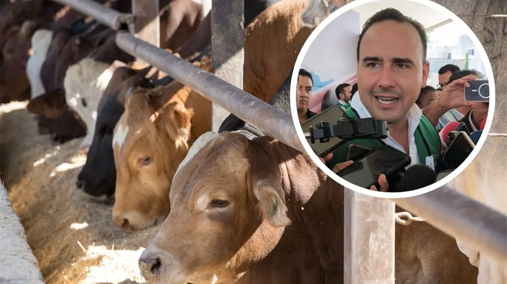 Manolo Jiménez plantea cerrar la frontera sur de México en pro de la exportación de ganado