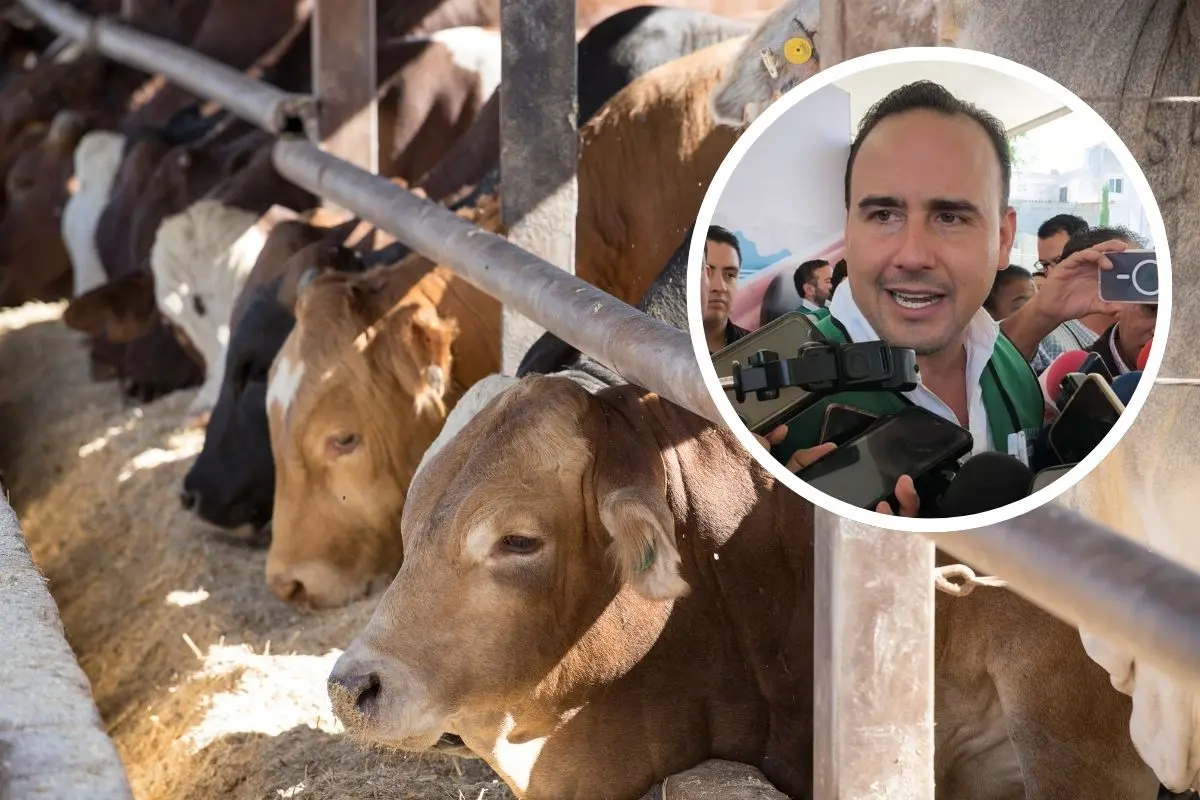 Manolo Jiménez plantea cerrar fronteras para combatir gusano barrenador / Foto: Archivo POSTA MX | Canva
