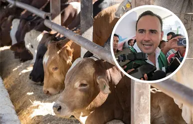 Manolo Jiménez plantea cerrar la frontera sur de México en pro de la exportación de ganado
