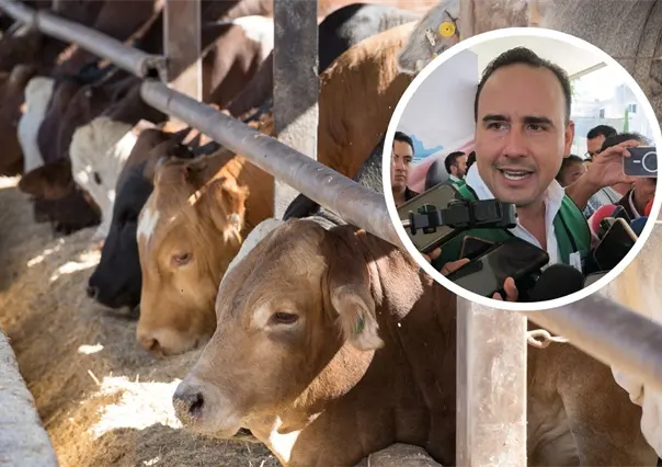 Manolo Jiménez plantea cerrar la frontera sur de México en pro de la exportación de ganado