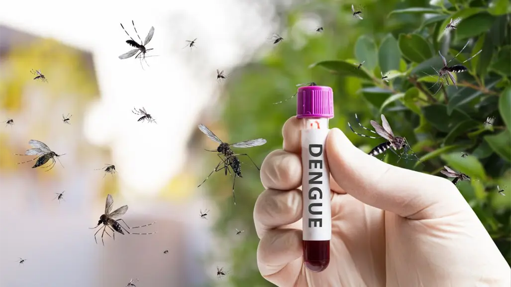 Dengue: 3 recomendaciones del IMSS Baja California Sur para prevenirlo tras las lluvias