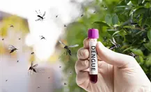 Dengue: 3 recomendaciones del IMSS Baja California Sur para prevenirlo tras las lluvias