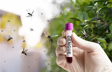 Dengue: 3 recomendaciones del IMSS Baja California Sur para prevenirlo tras las lluvias
