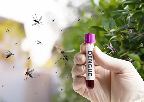 Dengue: 3 recomendaciones del IMSS Baja California Sur para prevenirlo tras las lluvias