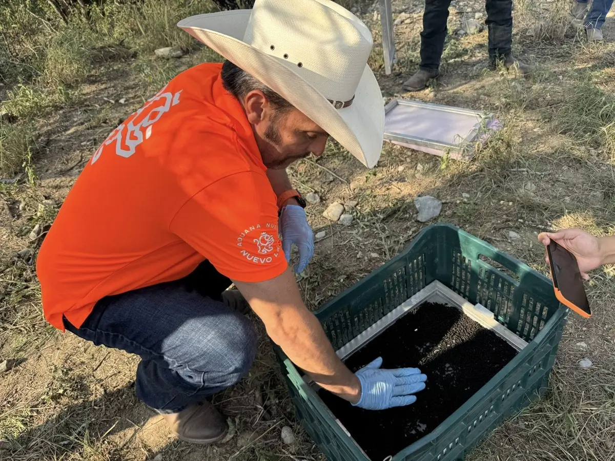 En la imagen el secretario de Desarrollo Regional y Agropecuario, Marco González, durante la liberación de la mosca estéril para evitar la plaga de gusano barrenador. Foto: Gobierno de Nuevo León