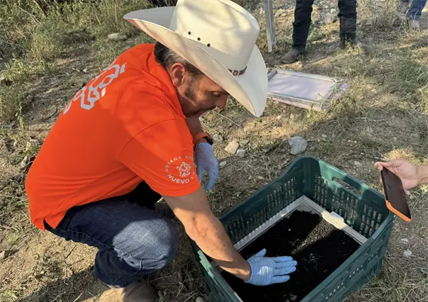 Nuevo León libera moscas estériles para prevenir plaga del Gusano Barrenador