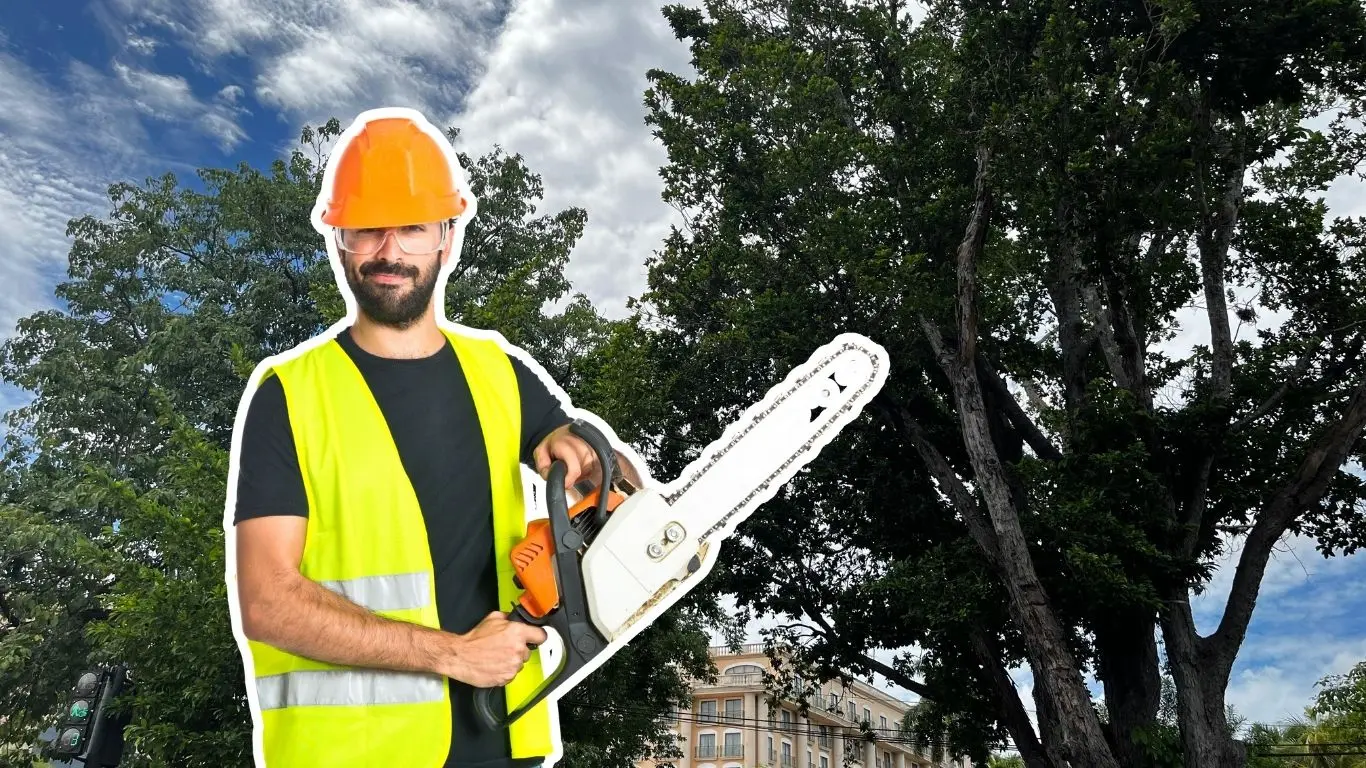 ¿Por qué es importante la poda preventiva en temporada de huracanes?. Foto: Irving Gil / Canva