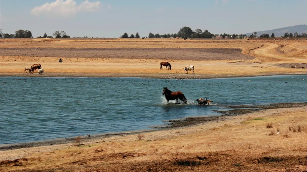 Presa Ignacio Ramírez rebasa 100% de su capacidad y amenaza con inundaciones en Almoloya de Juárez
