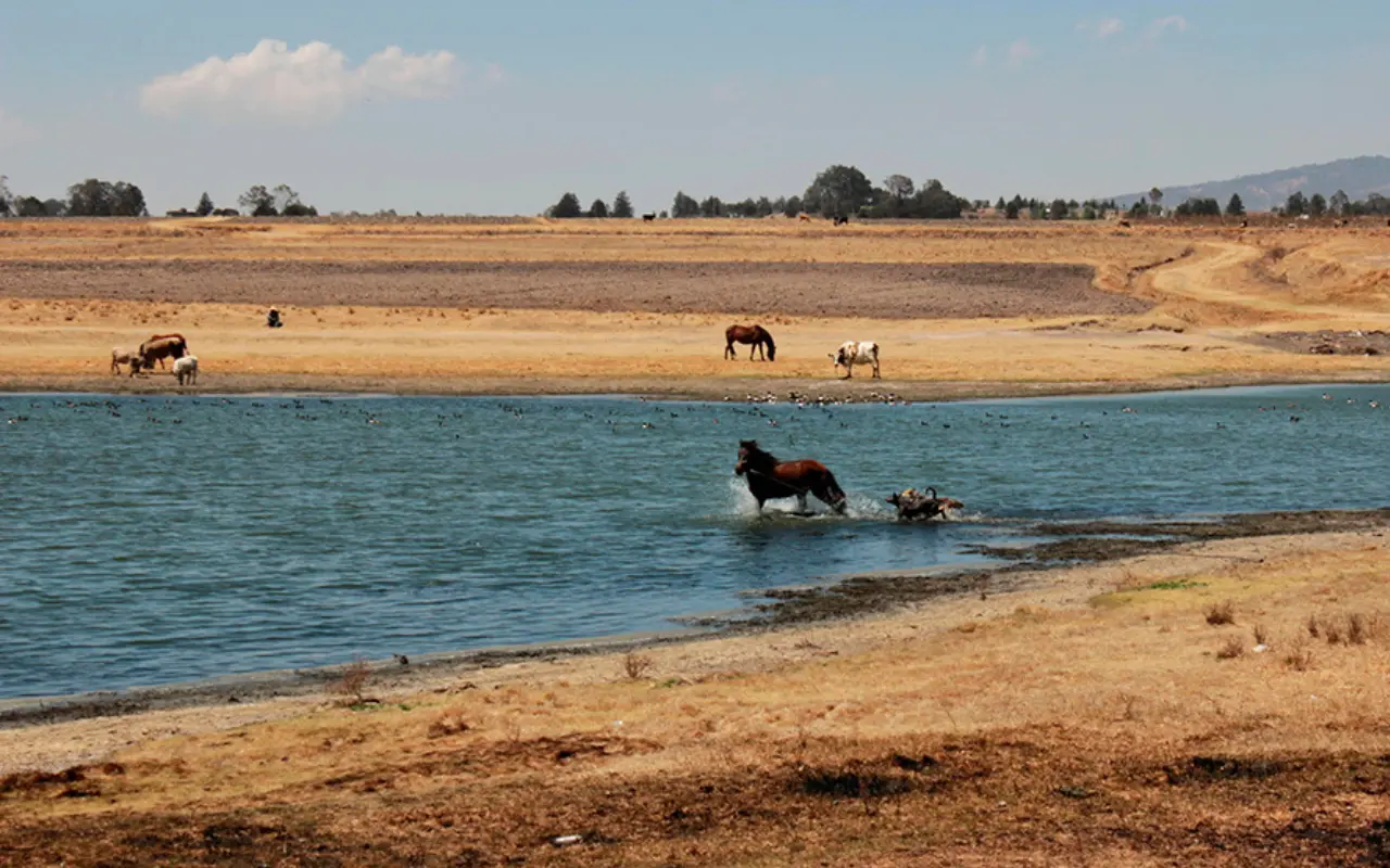 Presa Ignacio Ramírez, marzo de 2024. Foto: X/ @estenoesartur (Canva)