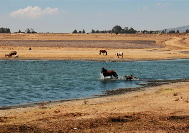 Presa Ignacio Ramírez rebasa 100% de su capacidad y amenaza con inundaciones en Almoloya de Juárez