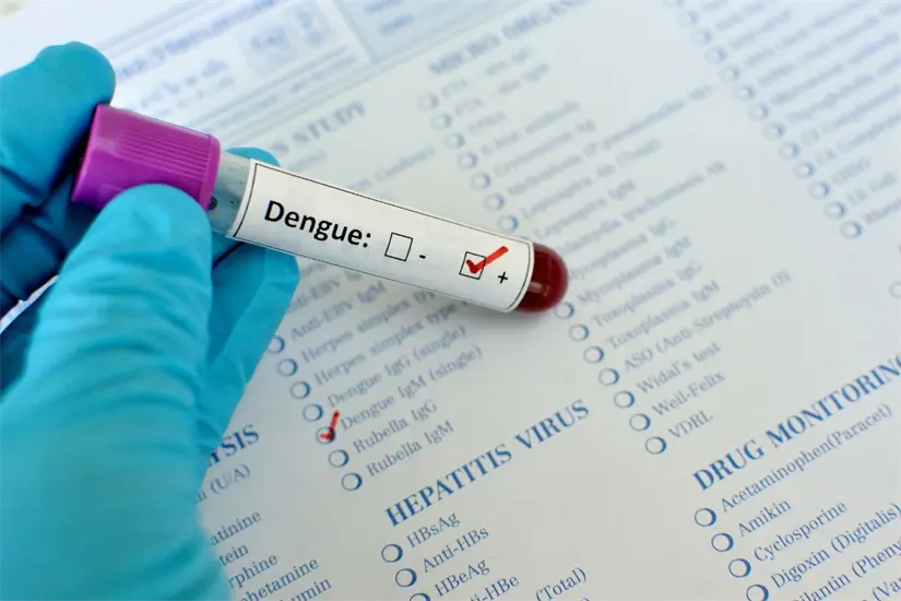 Los síntomas del dengue suelen aparecer entre 4 y 7 días después de la picadura del mosquito. Foto: Biblioteca Canva