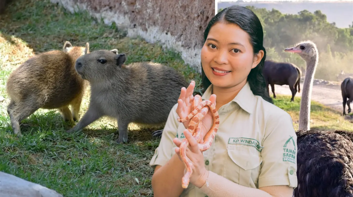 Zoológico de Guadalajara tendrá sus entradas a un peso: ¿a partir de cuándo? Foto: Instagram | Zoológico de Guadalajara.