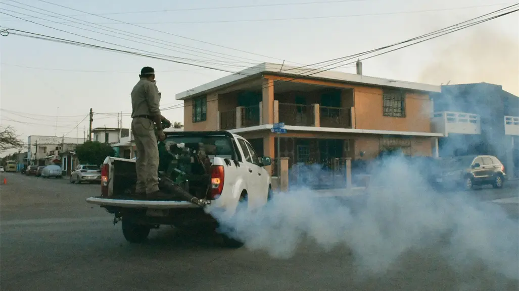Refuerzan fumigación en Mérida: ¿Por qué es clave para proteger la salud en Yucatán?
