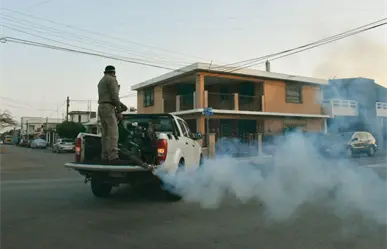 Refuerzan fumigación en Mérida: ¿Por qué es clave para proteger la salud en Yucatán?