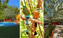 Conoce Cabañas Xobletoh, ideal para el descanso y contacto directo con la naturaleza en Yucatán 