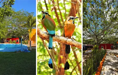 Conoce Cabañas Xobletoh, ideal para el descanso y contacto directo con la naturaleza en Yucatán 