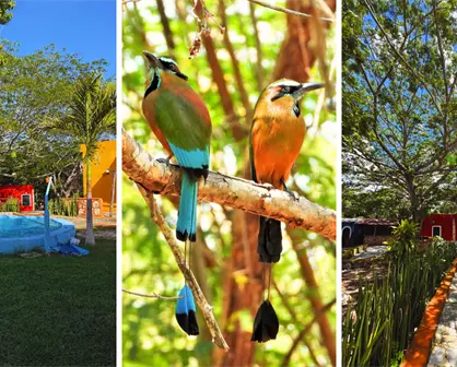 Conoce Cabañas Xobletoh, ideal para el descanso y contacto directo con la naturaleza en Yucatán 