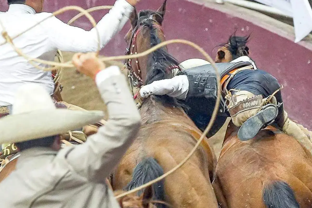 Descubre cómo el equipo de Tamaulipas se posiciona como líder en la eliminatoria del campeonato nacional de charros mayores 2025