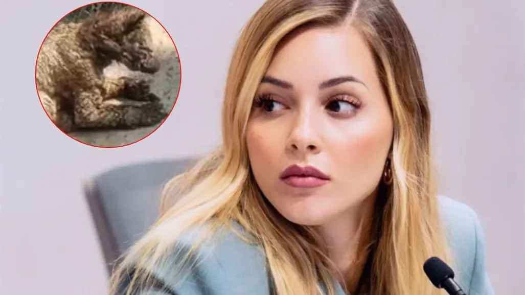 Mariana Rodríguez aclara el estado de la osa en zoológico La Pastora tras video viral