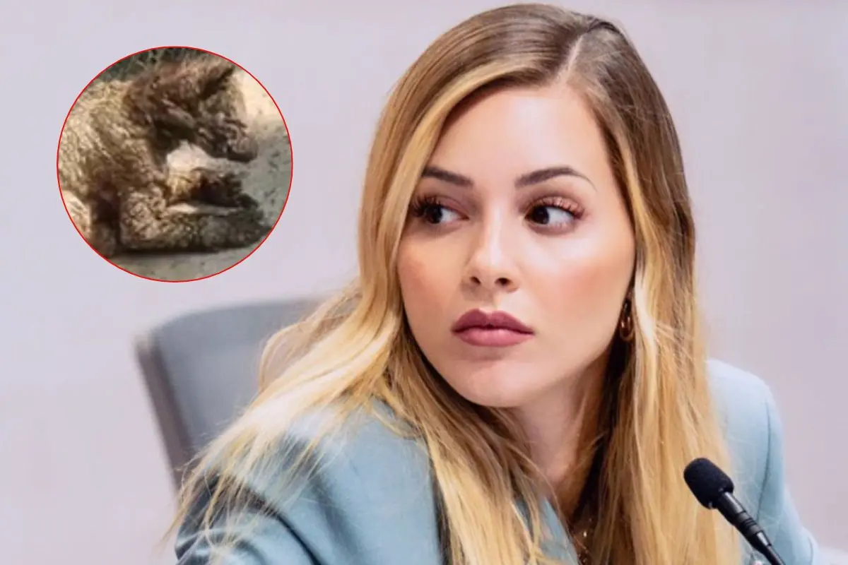 Mariana Rodríguez, titular de Amar a Nuevo León Foto: Canva