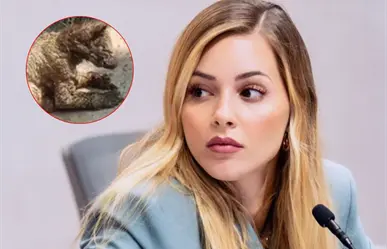 Mariana Rodríguez aclara el estado de la osa en zoológico La Pastora tras video viral